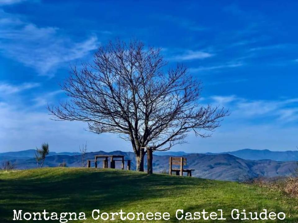 Villa Tenuta La Scure La Cappella à Cortone Extérieur photo